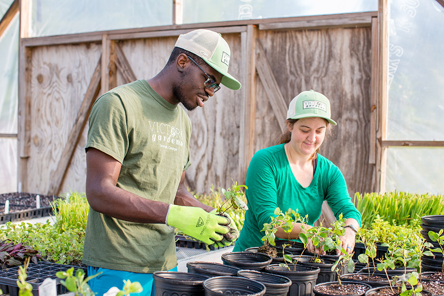 Jason Smith is a trainee in the Landscape Management Apprenticeship Program, which is part of the Green Infrastructure to Green Jobs project. He plants with Victory Garden employee Cayla Sheehan in the greenhouse. He got the job through the green jobs certification program