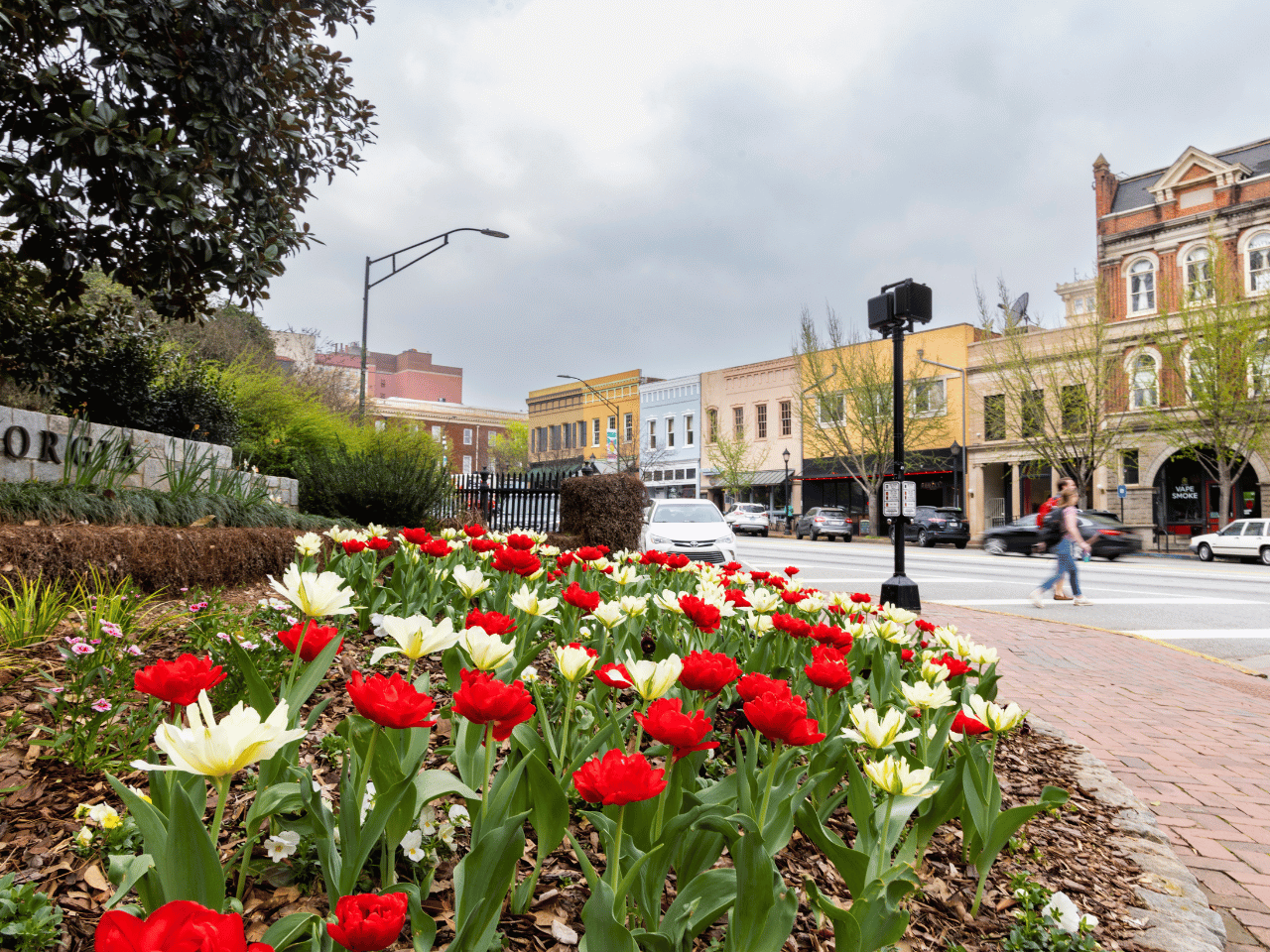 Closeup view of red and white spring tulips blooming in front of the University of Georgia sign at intersection of Jackson and Broad Streets with downtown Athens in the background.