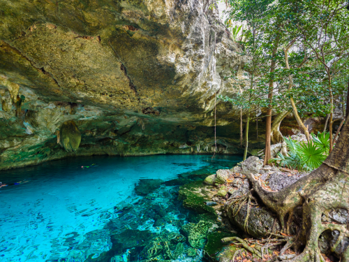 Franklin – Marine Sciences in the Yucatán